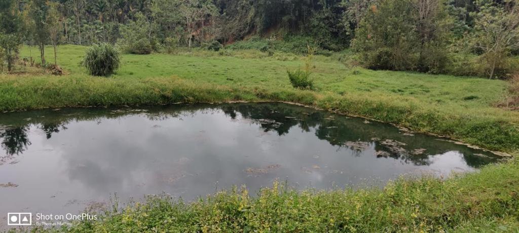 La Paz Coorg Homestay At Madikeri Town Esterno foto